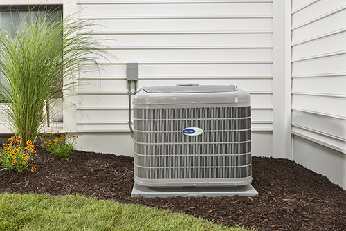 Carrier Air Conditioner in Backyard